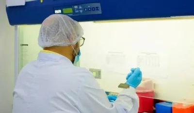 Imagen de referencia.