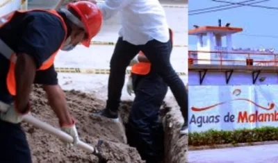 Imagen de referencia.