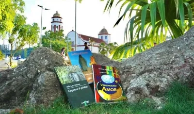 Imagen de referencia.