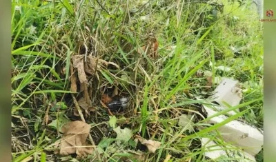 Artefacto explosivo encontrado en el Cauca.