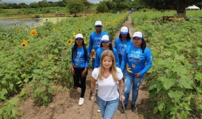La gobernadora Elsa Noguera inauguró una nueva Ruta del Girasol. Esta vez fue en Santo Tomás.