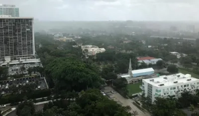 Imagen de referencia.