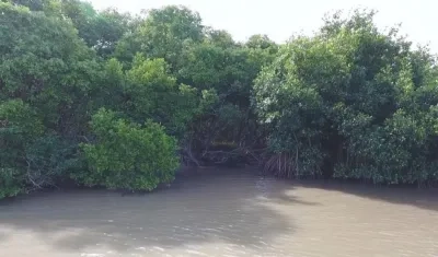 Ciénaga de Mallorquín.