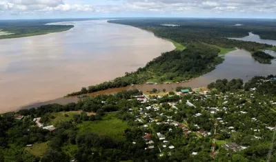 Imagen de referencia.