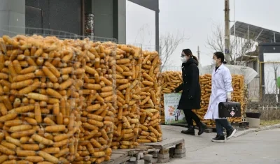 Imagen de referencia.