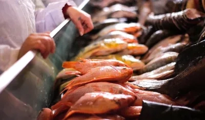 El estudio analizó toda una variedad de especies.