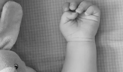 Imagen de referencia. 