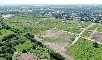 El lote de "Los Ángeles".