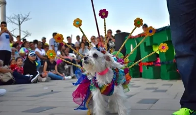 Imagen de referencia.