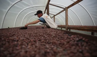 Imagen de referencia.