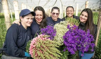 El 60 % de los empleos directos de los cultivos de flores es ocupados por mujeres.