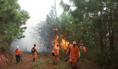 Imagen de referencia.