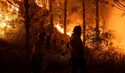 Imagen de referencia.