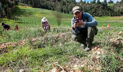 MinTic hizo público borrador de decreto para el servicio de internet.