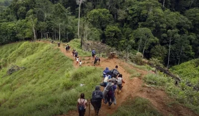 Imagen de referencia.