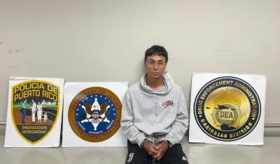 Drizmali capturado en Puerto Rico.