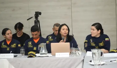 Imagen del Consejo de Seguridad.