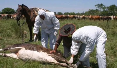 Vacunación, imagen de referencia.