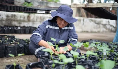 Imagen de referencia.