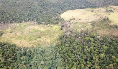 Imagen de referencia.