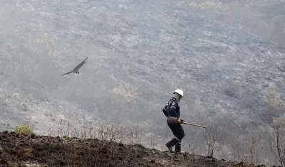 En lo que va del año, en Colombia se han registrado 1.987 incendios forestales.