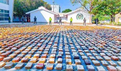 Marihuana incautada. 