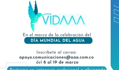 Afiche promocional del concurso. 