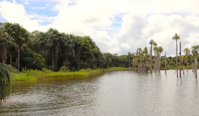 El objetivo es recuperar los terrenos indebidamente ocupados.