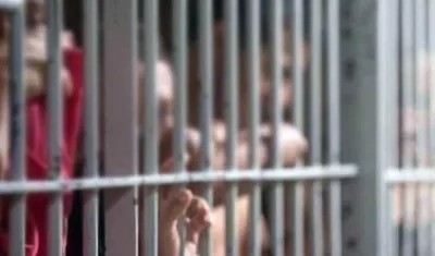 Imagen de referencia.