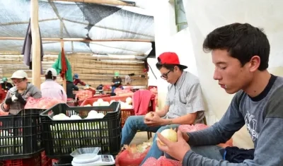 2.500 emprendimientos se beneficiarán con el programa de la Unión Europea.