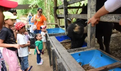 Los niños disfrutan del contacto con la naturaleza y los animales 
