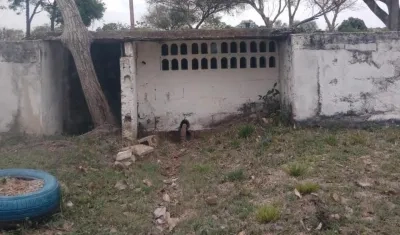 Finca Las Flores, en el municipio de Sampués, Sucre