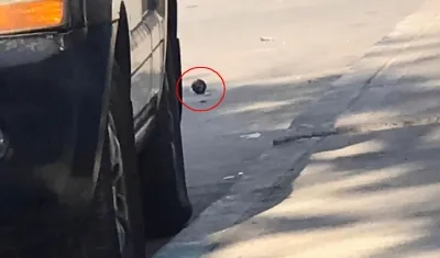 Granada que encontró la Policía