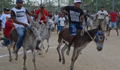 Festival del burro en San Antero Córdoba.