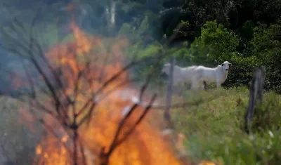 Imagen de referencia.