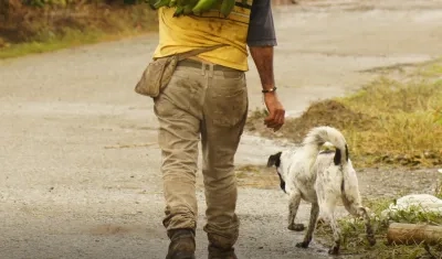 Imagen de referencia.