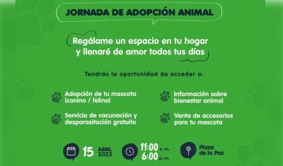 Flyer de jornada de adopción animal.