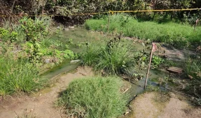 Presencia de aguas residuales.