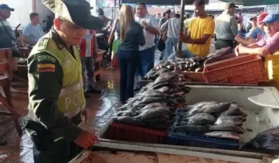 Operativos de la Policía en la comercialización de pescado