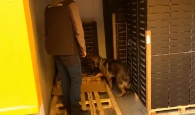 Guardia Civil de España en pleno operativo de la carga de fruta en la que fueron decomisados 30 kilos de cocaína