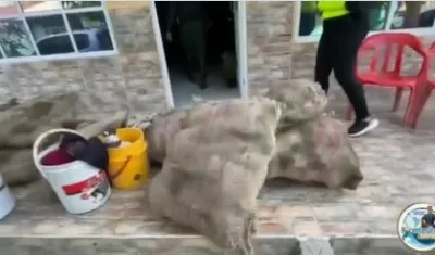 Las 617 icoteas estaban guardadas en varios costales.