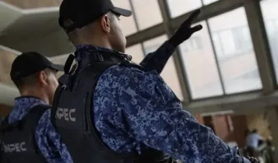 Imagen de referencia.