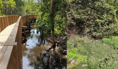 Las aguas residuales presentes en la Ciénaga de Mallorquín. 