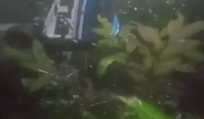 Restos de la avioneta Cessna que estaba desaparecida.