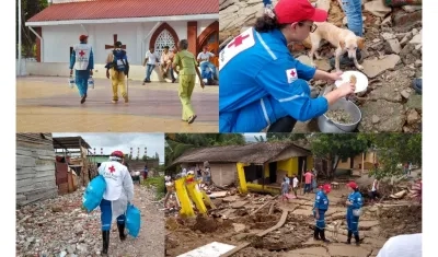 Imágenes de sus labores.