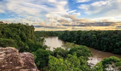 Imagen de referencia.