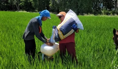 Imagen de referencia.