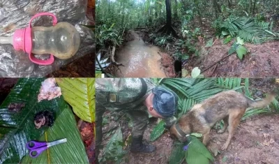 Pistas encontradas por las autoridades.