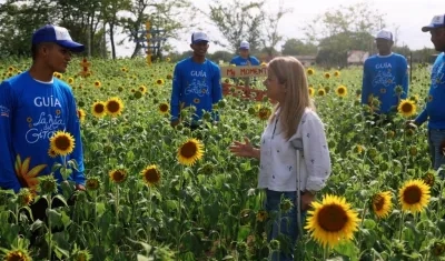 La Gobernadora Elsa Noguera visitó el campo de girasoles en Sabanalarga