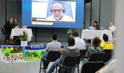 Salvatore Mancuso en audiencia virtual